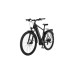 FISCHER Fahrrad TERRA 5.0i, Pedelec(schwarz (matt), 29