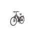 FISCHER Fahrrad Viator 1.0 , Pedelec(schwarz, 28