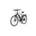 FISCHER Fahrrad Viator 2.0, Pedelec(anthrazit, 28