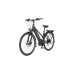 FISCHER Fahrrad Viator 5.0i Damen, Pedelec(grau, 44 cm Rahmen, 28