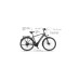FISCHER Fahrrad Viator 5.0i Herren, Pedelec(grau, 55 cm Rahmen, 28