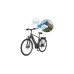 FISCHER Fahrrad Viator 5.0i Herren, Pedelec(grau, 55 cm Rahmen, 28