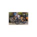 FISCHER Fahrrad Viator 5.0i Herren, Pedelec(grau, 55 cm Rahmen, 28
