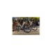 FISCHER Fahrrad Viator 5.0i Herren, Pedelec(grau, 55 cm Rahmen, 28