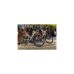 FISCHER Fahrrad Viator 5.0i Herren, Pedelec(grau, 55 cm Rahmen, 28