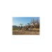 FISCHER Fahrrad Viator 5.0i Herren, Pedelec(grau, 55 cm Rahmen, 28
