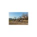 FISCHER Fahrrad Viator 5.0i Herren, Pedelec(grau, 55 cm Rahmen, 28