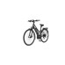 FISCHER Fahrrad Viator ETH 1861, Pedelec(schwarz (matt), 28