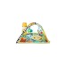 Fisher-Price Rainforest Spieldecke, Spielbogen/Decke