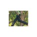 Fiskars PowerGear Amboss Getriebe-Astschere L31(schwarz/orange)