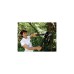 Fiskars PowerGear II Amboss Getriebe-Astschere L71(schwarz/orange)