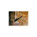 Fiskars X-series X24 Spaltaxt mit S-Klinge, Axt/Beil(schwarz/orange)