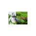GARDENA 2-Wege-Verteiler 8193-20, Hahnstück(schwarz/grau, 26,5mm (G 3/4