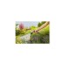 GARDENA Comfort Reinigungsspritze ecoPulse, Sprühpistole(grau/orange)