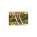 GARDENA EcoLine Schlauch 13mm (1/2