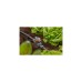 GARDENA Micro-Drip-System Absperr-/Regulierventil 13mm (1/2