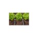 GARDENA Micro-Drip-System Absperr-/Regulierventil 13mm (1/2