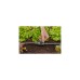 GARDENA Micro-Drip-System Absperr-/Regulierventil 13mm (1/2