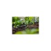 GARDENA Micro-Drip-System Reihentropfer 2 l/h(schwarz/türkis, 10 Stück, Modell 2023)