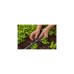 GARDENA Micro-Drip-System Sprühdüse 360°, 5 Stück(schwarz/türkis, Modell 2023)