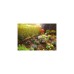 GARDENA Micro-Drip-System Start-Set Pflanzreihen S, Tropfsystem(schwarz, 15 Meter)