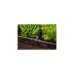GARDENA Micro-Drip-System T-Stück 13mm (1/2