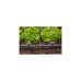 GARDENA Micro-Drip-System T-Stück 13mm (1/2