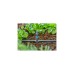 GARDENA Micro-Drip-System T-Stück für Sprühdüsen/Endtropfer, 4,6mm (3/16