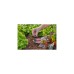 GARDENA Micro-Drip-System T-Stück für Sprühdüsen/Endtropfer, 4,6mm (3/16