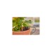 GARDENA Micro-Drip-System Tropfbewässerung Set Balkon, 15 Pflanzen, Tropfer(schwarz/grau, Modell 2023)