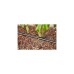 GARDENA Micro-Drip-System Tropfrohr für Büsche/Hecken 1,6 l/h, 50 Meter, Tropfer(schwarz, Modell 2023, ober- und unterirdisch)