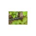 GARDENA Micro-Drip-System Universalverbinder 13mm (1/2