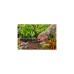 GARDENA Micro-Drip-System Verbinder 13mm (1/2