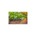 GARDENA Micro-Drip-System Verbinder 13mm (1/2