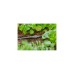 GARDENA Micro-Drip-System Verbinder 4,6mm (3/16