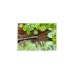 GARDENA Micro-Drip-System Verschlussstopfen 4,6mm (3/16