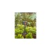 GARDENA Micro-Drip-System Viereckregner OS 90(dunkelgrau/orange, Modell 2023)