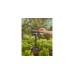 GARDENA Micro-Drip-System Viereckregner OS 90(dunkelgrau/orange, Modell 2023)