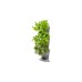 GARDENA NatureUp! Basis Set Ecke, Pflanzbehälter(grau, für 3 Pflanzen)