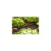 GARDENA Perl-Regner 15 Meter, Tropfsystem(schwarz)