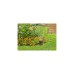 GARDENA Start-Set Pipeline mit Viereckregner, Wasserhahn(mit 2 Wassersteckdosen)