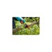 GARDENA Teleskop Hoch-Entaster TCS 720/20, Hochentaster(türkis, 720 Watt)