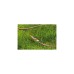 GARDENAComfort HighFLEX Schlauch 13mm (1/2