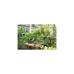 GARDENA city gardening Balkon-Box, Garten-Set(türkis/grau, 5-teilig)