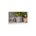GARDENA city gardening Urlaubsbewässerung-Set 1265-20, Bewässerungssteuerung(grau)