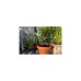 GARDENA city gardening Urlaubsbewässerung-Set 1265-20, Bewässerungssteuerung(grau)