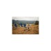 Grand Canyon El Tovar Highback 360013, Camping-Stuhl(blau)