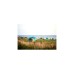 Grand Canyon Kuppelzelt TOPEKA 4, Blue Grass(blau/grau)
