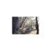 Grand Canyon Shelter ZUNI RAY Mojave Desert, UV50+, Sonnensegel(beige, Wing-Form)