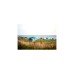 Grand Canyon Tunnelzelt ROBSON 4, Blue Grass(blau/grau)